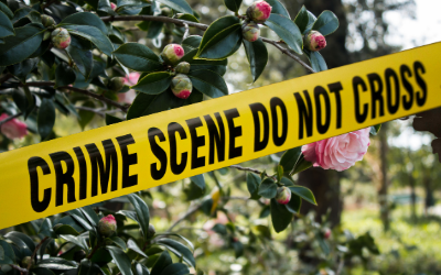 Death among the camellias